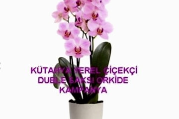 Orkide Bakımı Nasıl Yapılır?