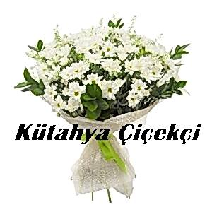Papatya Büyüsü
