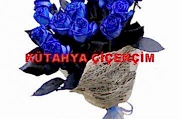 Mavi Gülün Anlamları Saymakla Bitmiyor!