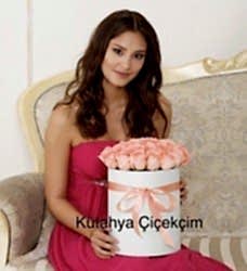 Kutuda Gül 13 Ad. Pembe